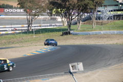 DSC_0060.JPG