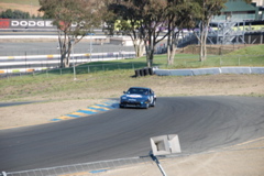 DSC_0061.JPG