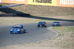DSC_0050.JPG