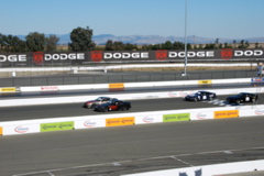 DSC_0133.JPG