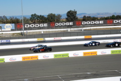 DSC_0134.JPG