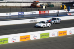 DSC_0207.JPG