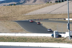 DSC_0209.JPG