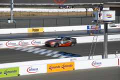 DSC_0220.JPG