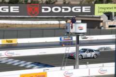 DSC_0224.JPG