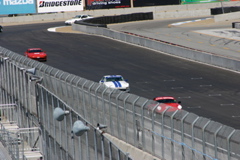 IMG_2849.JPG