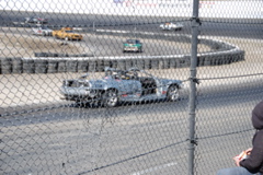 DSC_0784.JPG