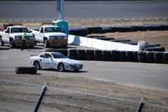 DSC_0686.JPG