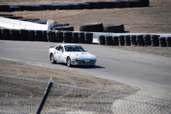 DSC_0687.JPG