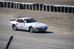 DSC_0689.JPG