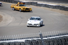 DSC_0698.JPG