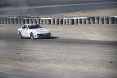 DSC_0725.JPG