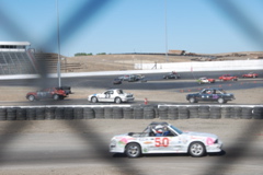 DSC_0745.JPG