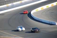 DSC_0061.JPG