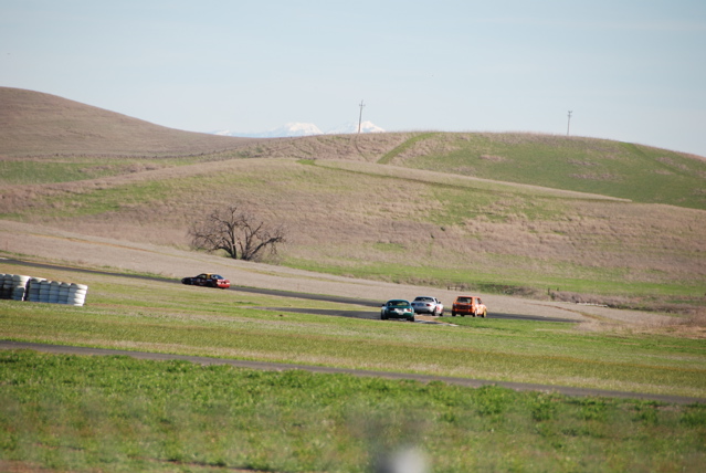 DSC_0050.JPG