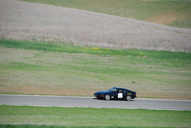 DSC_0008.JPG