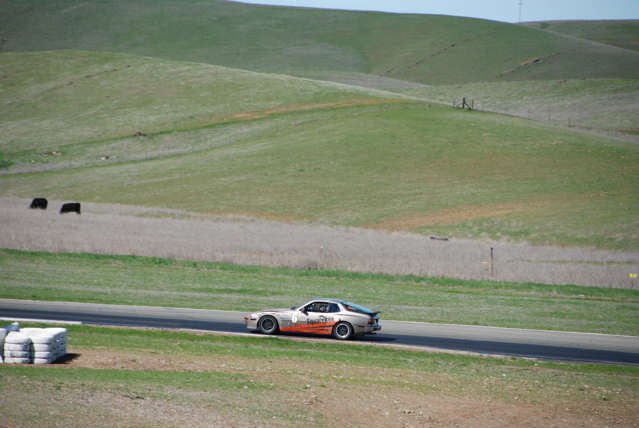 DSC_0085.JPG