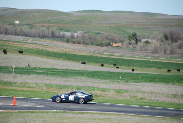 DSC_0087.JPG