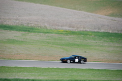 DSC_0008.JPG