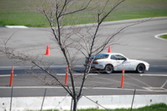 DSC_0083.JPG