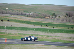 DSC_0087.JPG