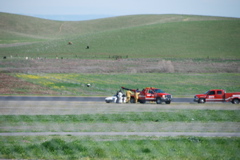 DSC_0101.JPG